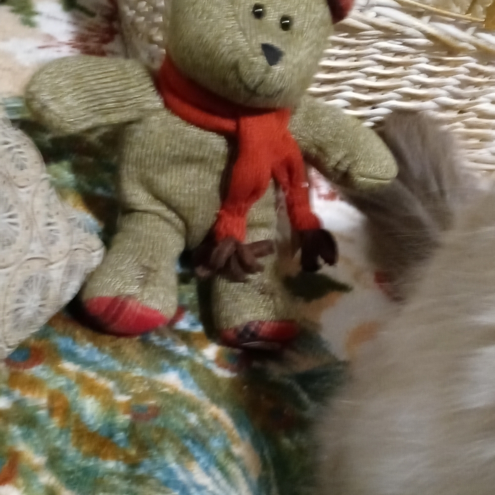 SOLD- Bearista Bear 2009 Starbucks - Picture 3 of 5